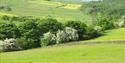 surrounding countryside